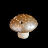 Mushroom in Unique Glazes