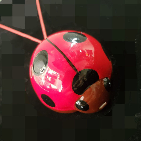 LADYBUG. photo_2025-02-11_15-41-40_600x