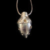 Acorn