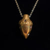 Acorn