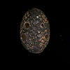 Dragon Egg