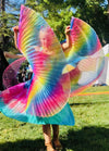 Dancing Wings For In-Between Kids (Medium)